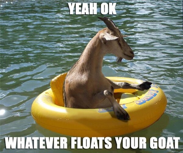 yeah-ok-whatever-floats-your-goat